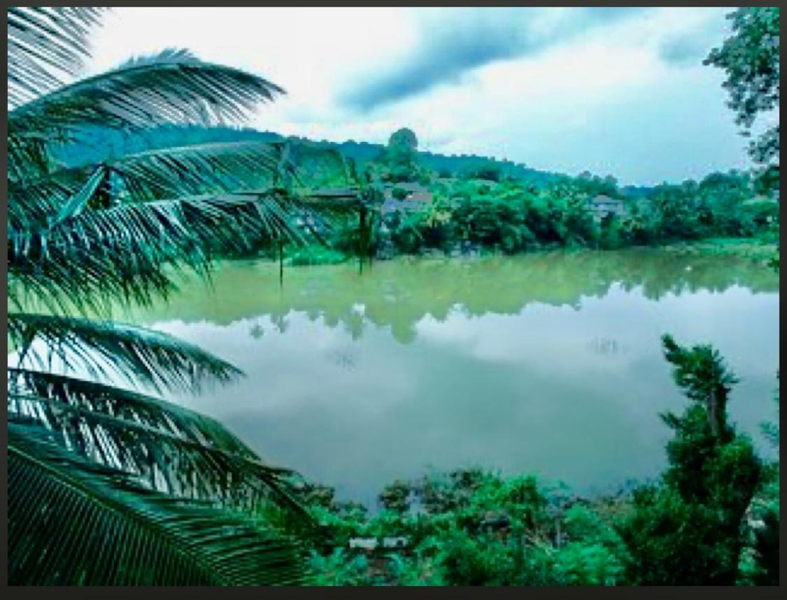 Amanzi Residence Kandy Buitenkant foto