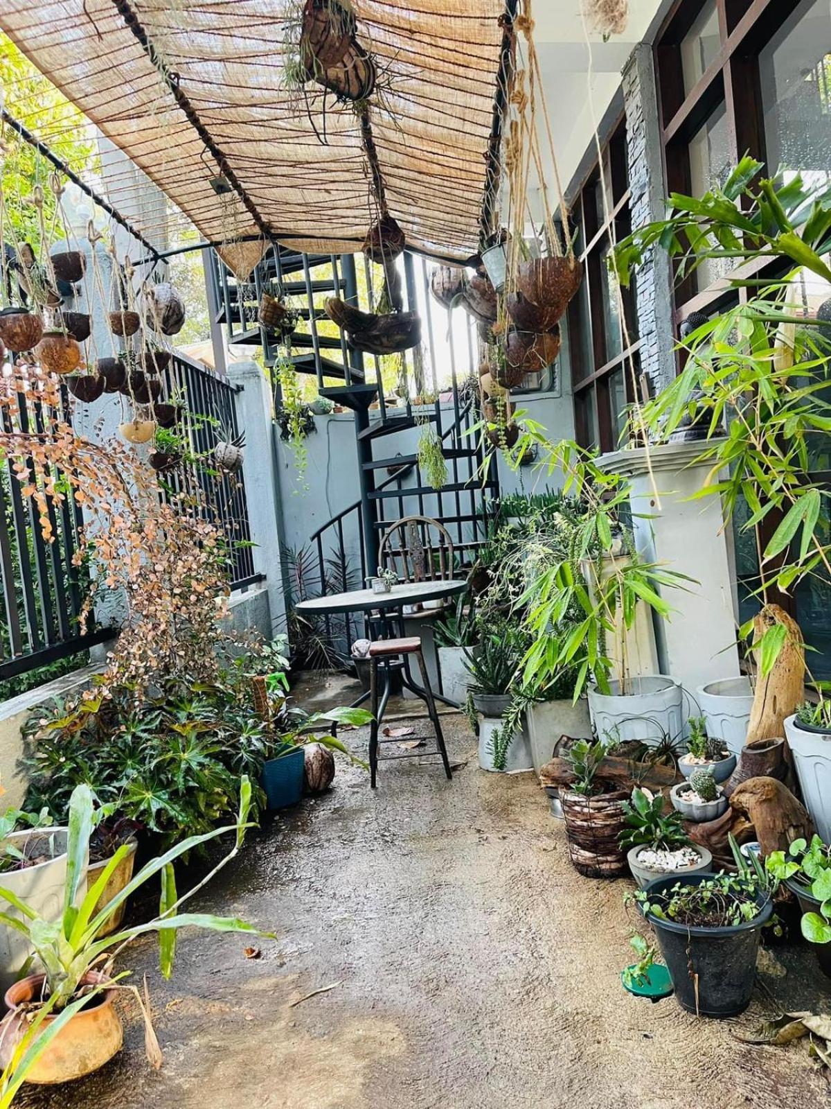 Amanzi Residence Kandy Buitenkant foto
